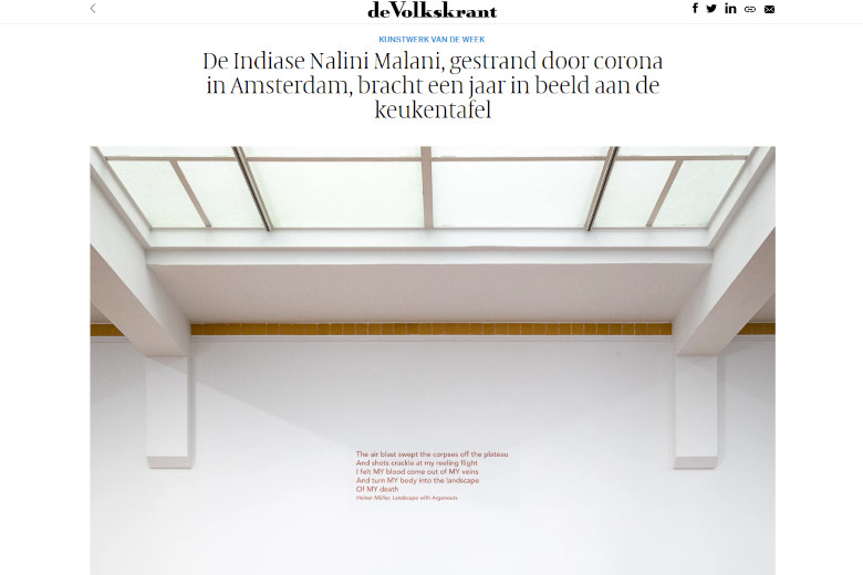 Artikel over Nalini Malani uit de Volkkrant